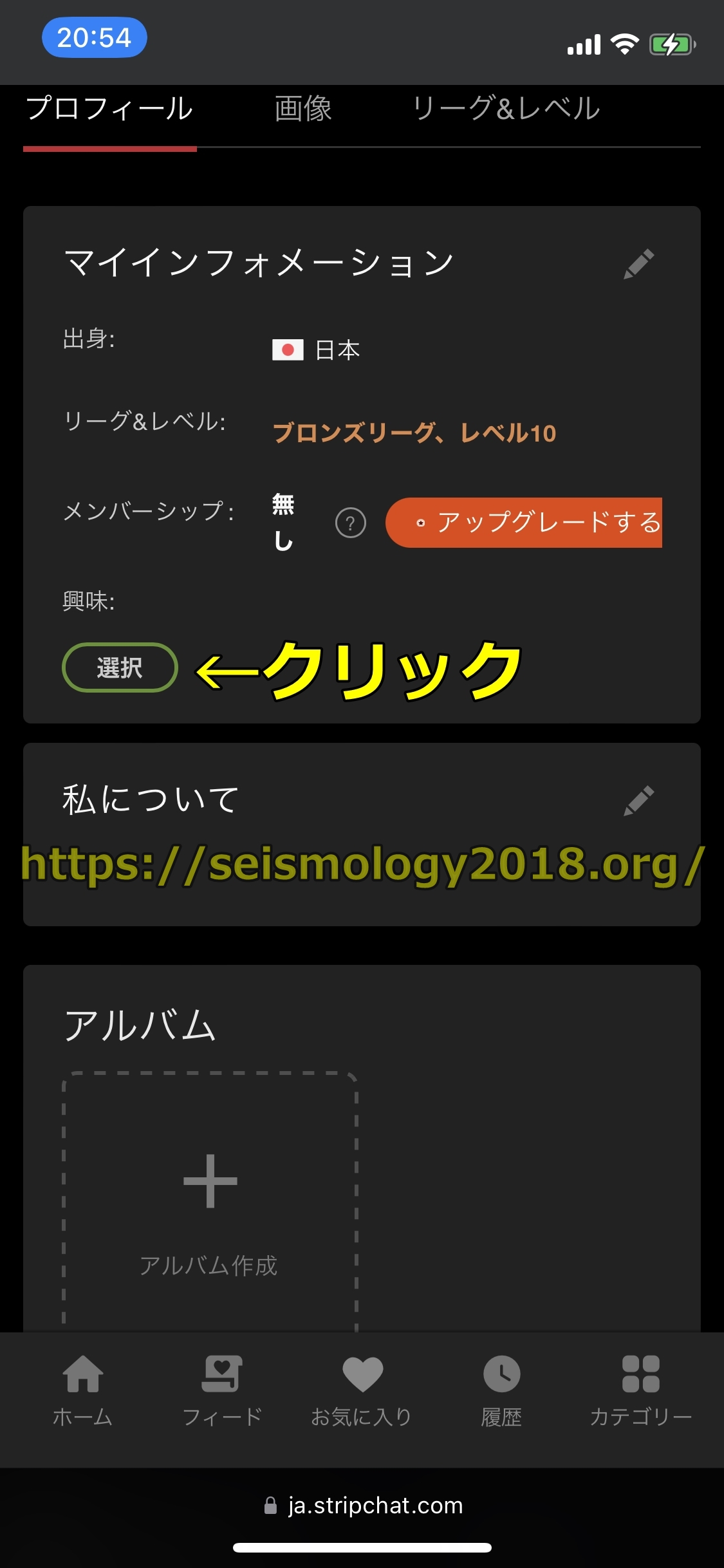 ストリップチャット