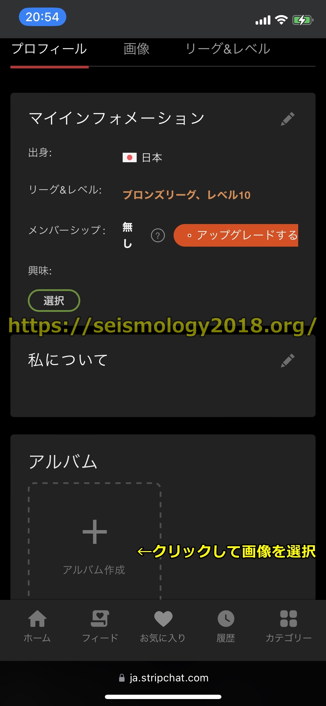 ストリップチャット